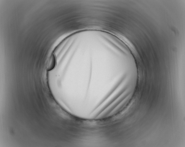 X0000113270956200910081357