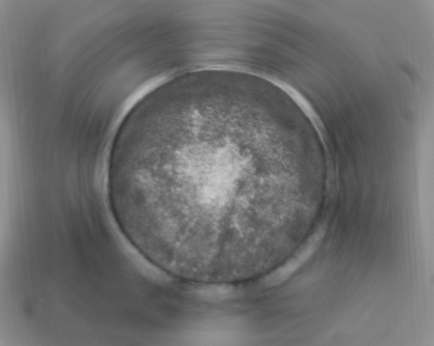 X0000113270957200910081358