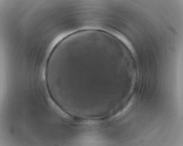 X0000113270958200910081358