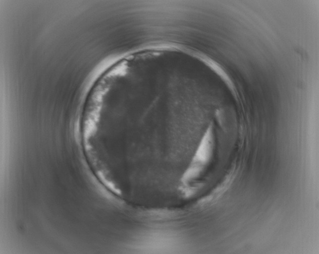 X0000113270959200910081358