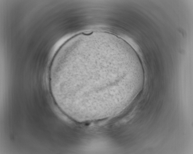 X0000113270960200910081358