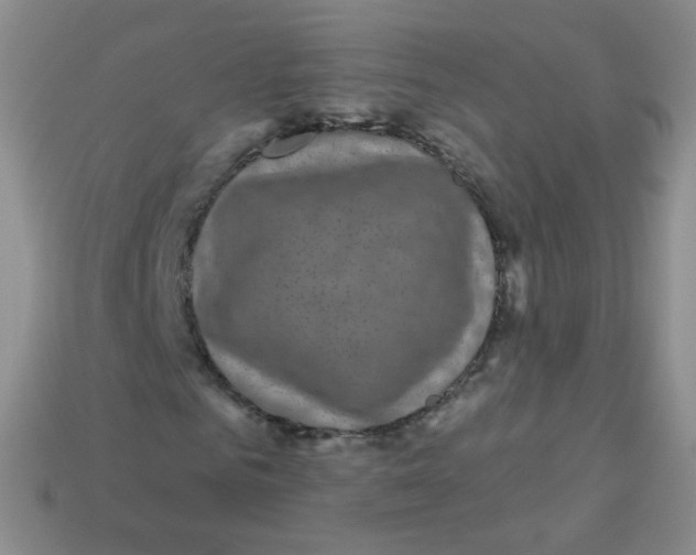 X0000113270961200910081357