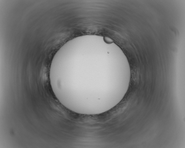 X0000113270962200910081357