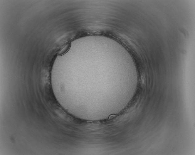 X0000113270964200910081357