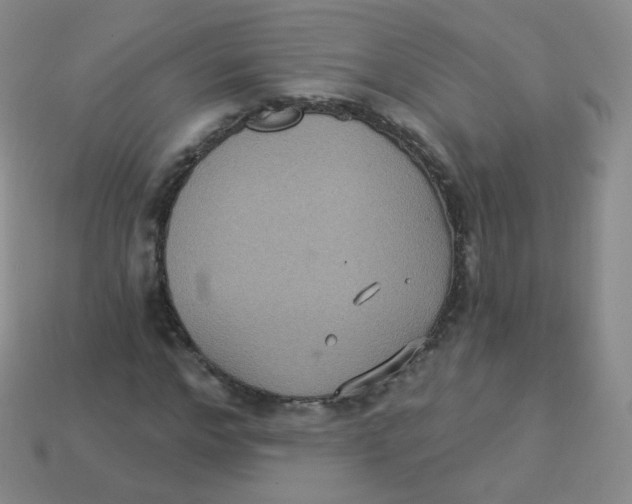 X0000113270968200910081357