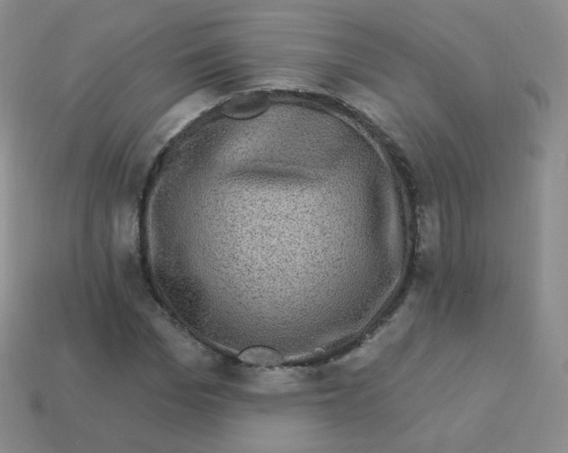 X0000113270969200910081357