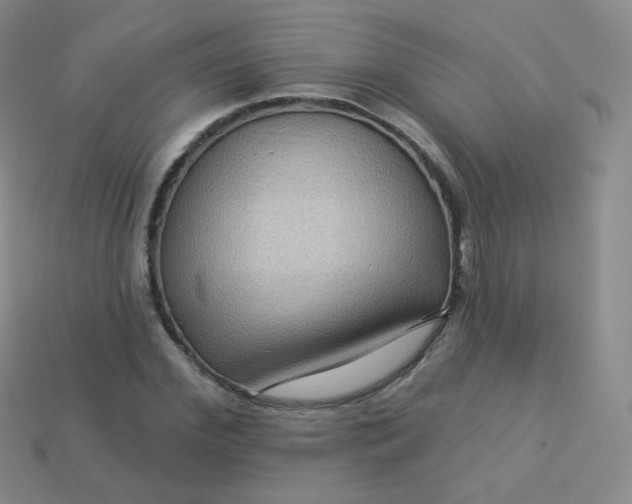 X0000113270972200910081357