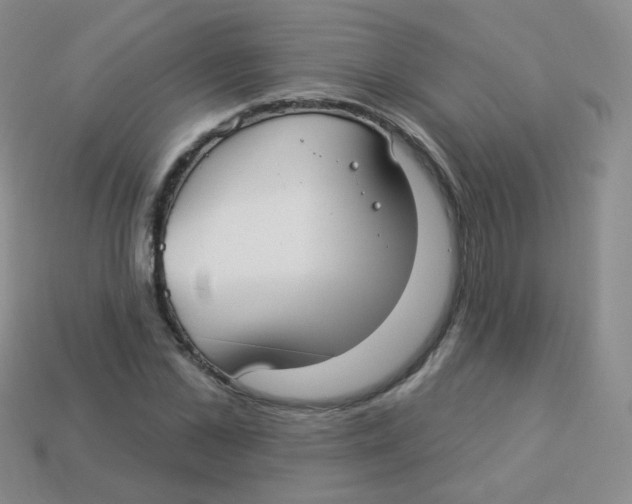 X0000113270973200910081357