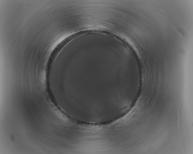 X0000113270975200910081357