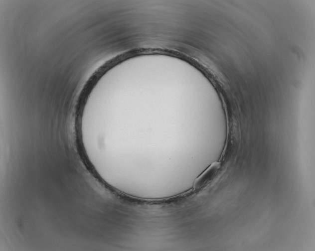 X0000113270976200910081357