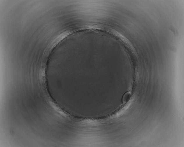 X0000113270977200910081357