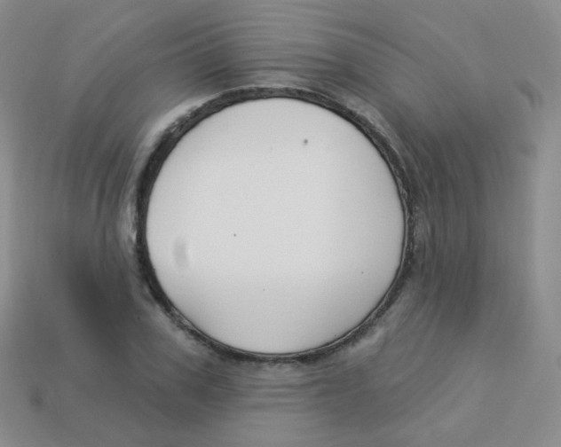 X0000113270979200910081357