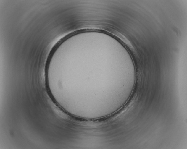 X0000113270980200910081357