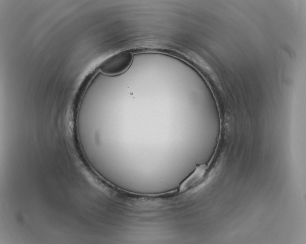 X0000113270981200910081357