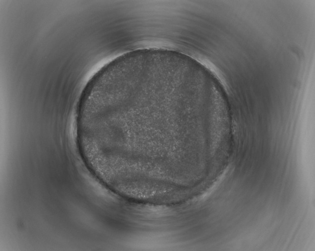 X0000113270983200910081357