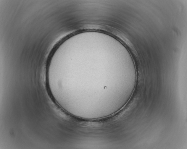 X0000113270984200910081357