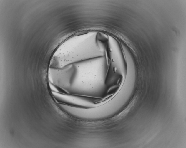 X0000113270985200910081357