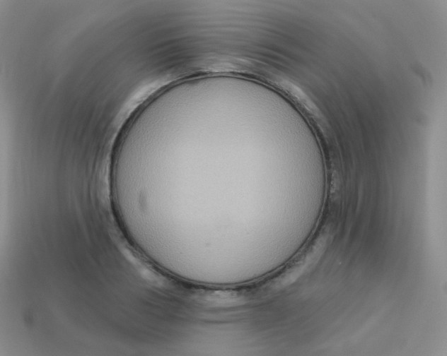 X0000113270986200910081357