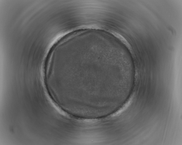 X0000113270989200910081357