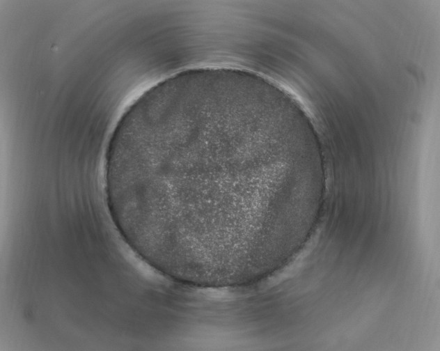 X0000113270990200910081357