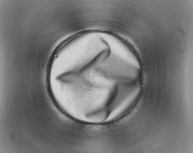 X0000113270991200910081357