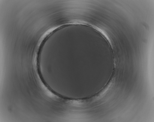 X0000113270995200910081357