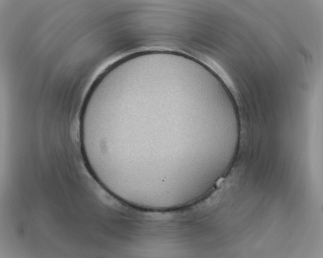 X0000113270996200910081356