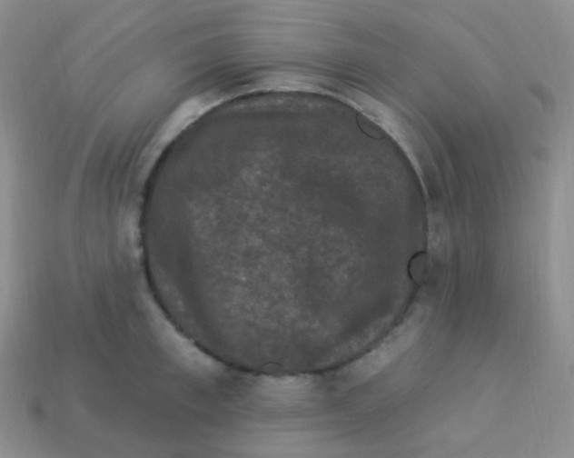 X0000113270997200910081356