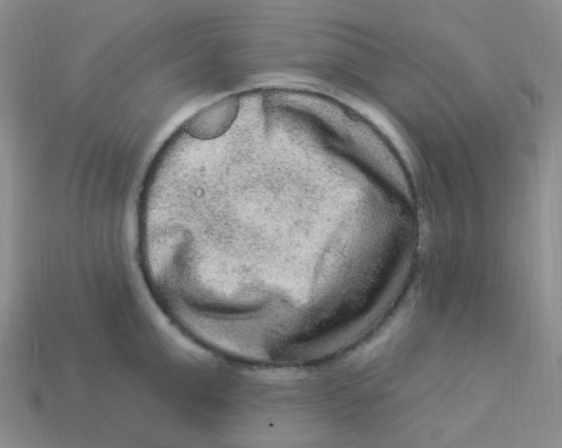 X0000113270999200910081356