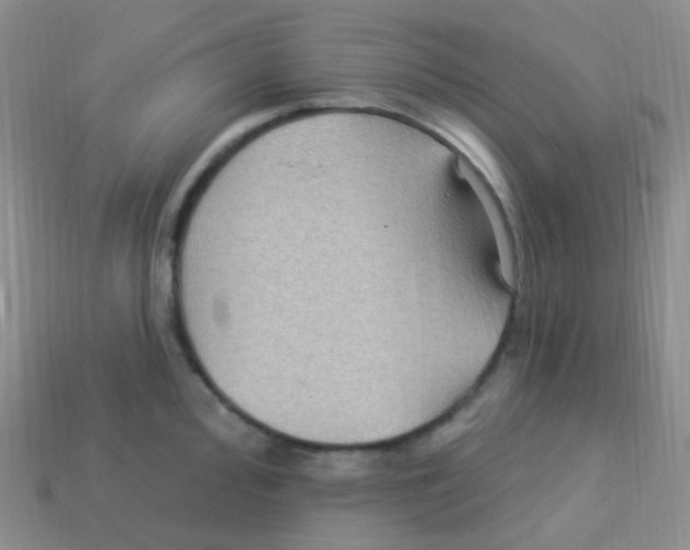 X0000113271000200910081356