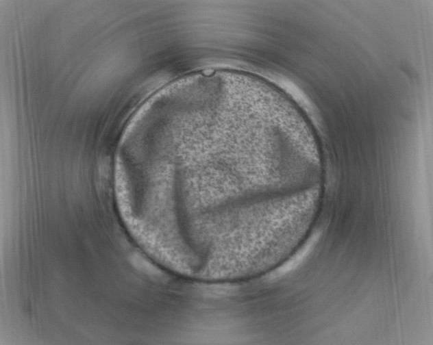 X0000113271001200910081356