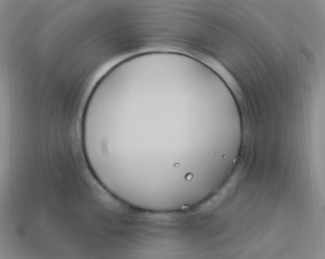 X0000113271004200910081356