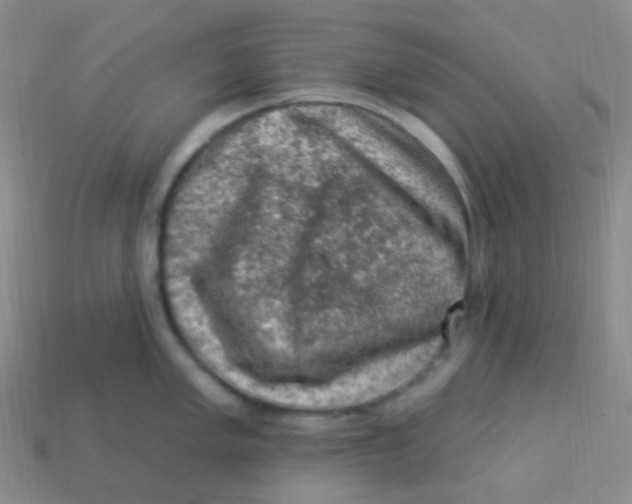 X0000113271005200910081356