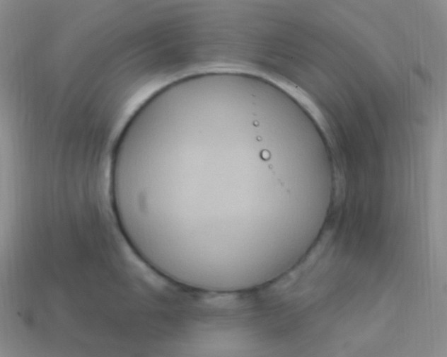 X0000113271006200910081356