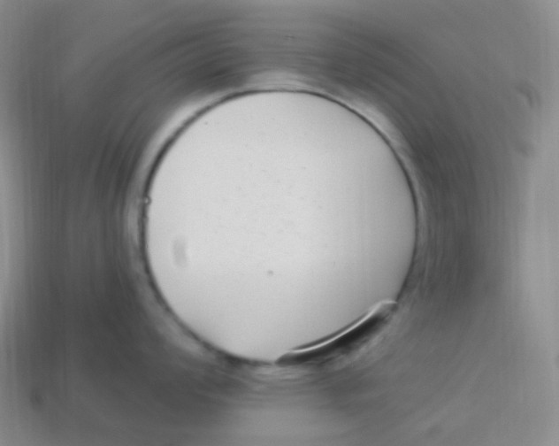 X0000113271008200910081356