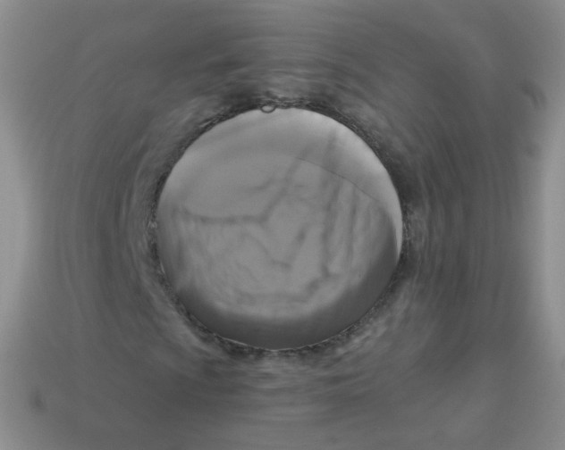 X0000113271009200910081356