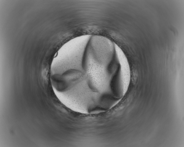 X0000113271010200910081356