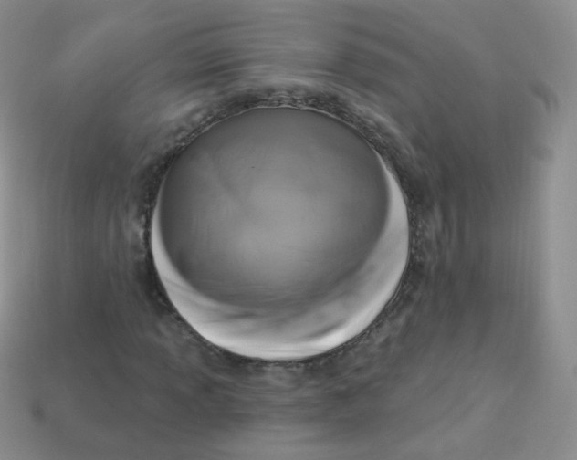 X0000113271013200910081356