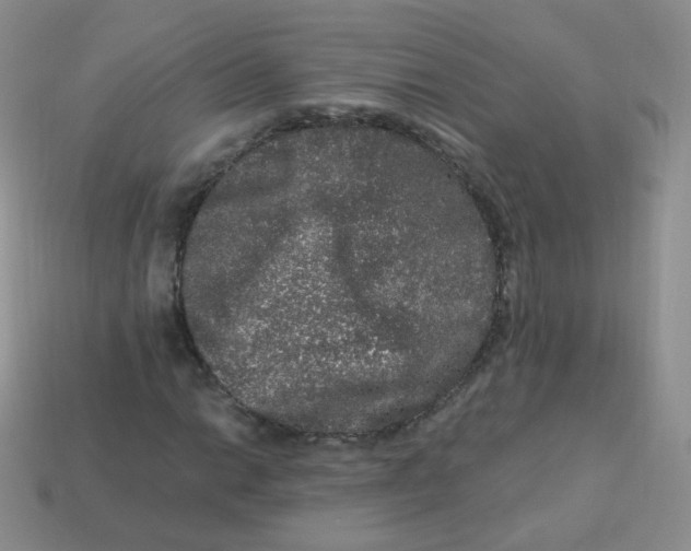 X0000113271014200910081356