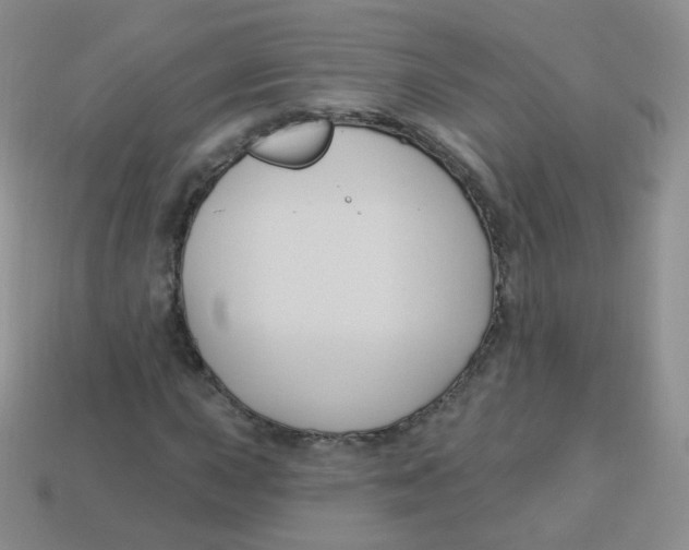 X0000113271015200910081356