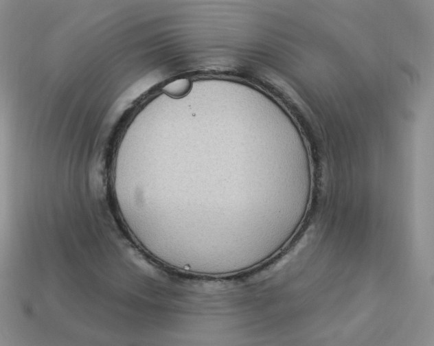 X0000113271018200910081356