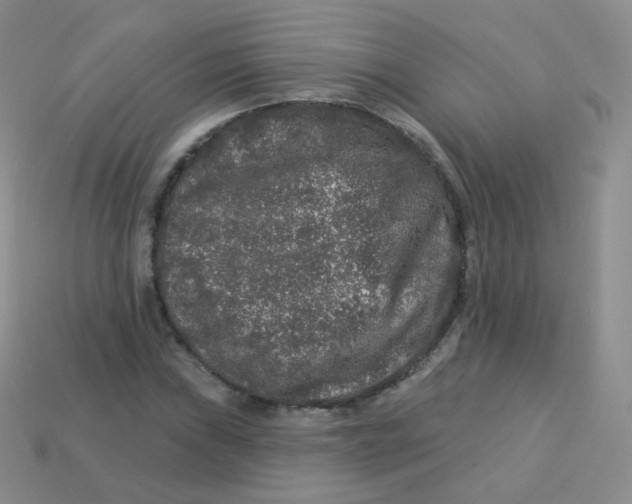 X0000113271019200910081356