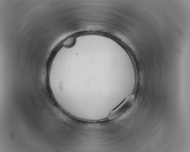 X0000113271021200910081356