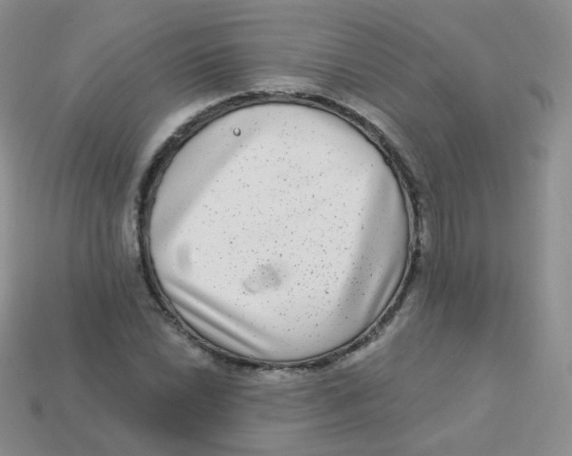 X0000113271022200910081356