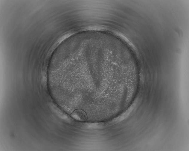 X0000113271025200910081356