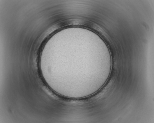 X0000113271026200910081356