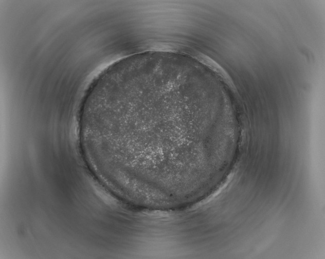 X0000113271027200910081356