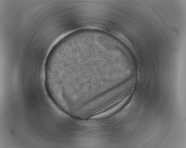 X0000113271028200910081356