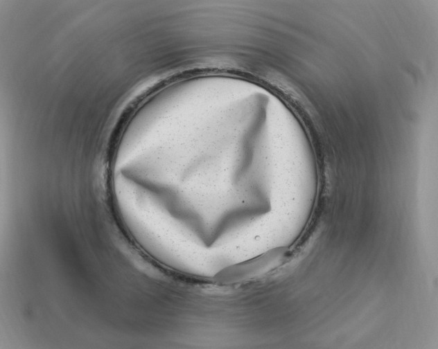 X0000113271029200910081356