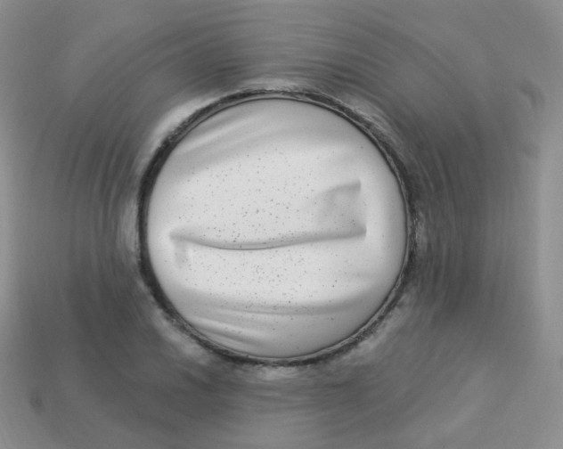 X0000113271030200910081356